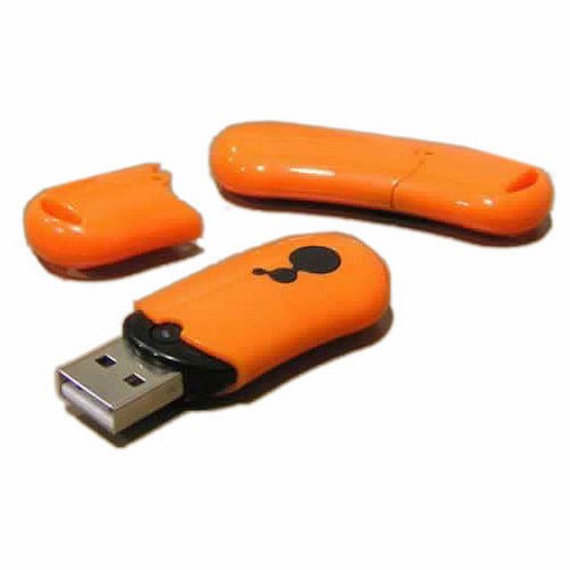 Plastic USB Flash Drive