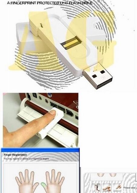 Fingerprint USB Flash Drive