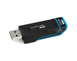 Kingston DataTraveler 200 Flash Drives