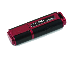 Kingston DataTraveler 310 USB Flash Drive