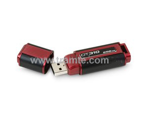 Kingston DataTraveler 310 USB Flash Drive