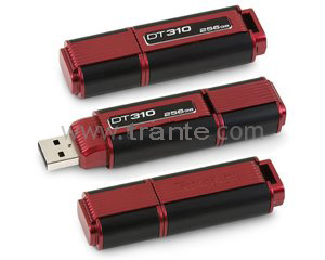 Kingston DataTraveler 310 USB Flash Drive