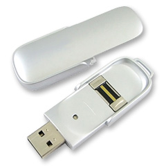 Fingerprint USB Flash Drive
