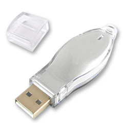 Plastic USB Flash Drive