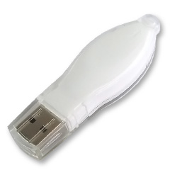 Plastic USB Flash Drive