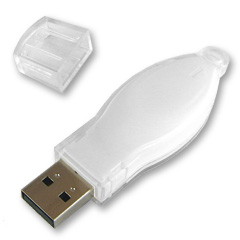 Plastic USB Flash Drive