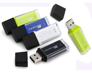 Kingston DataTraveler 102 USB Flash Drive