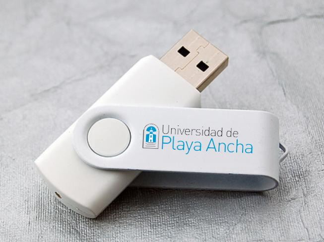 Custom LOGO USB Flash Drive